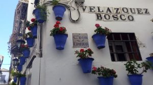 Baños Árabes Calle Velázquez Bosco Córdoba