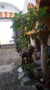 Baños Árabes Calle Velázquez Bosco Córdoba